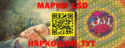 стаф Чебоксары